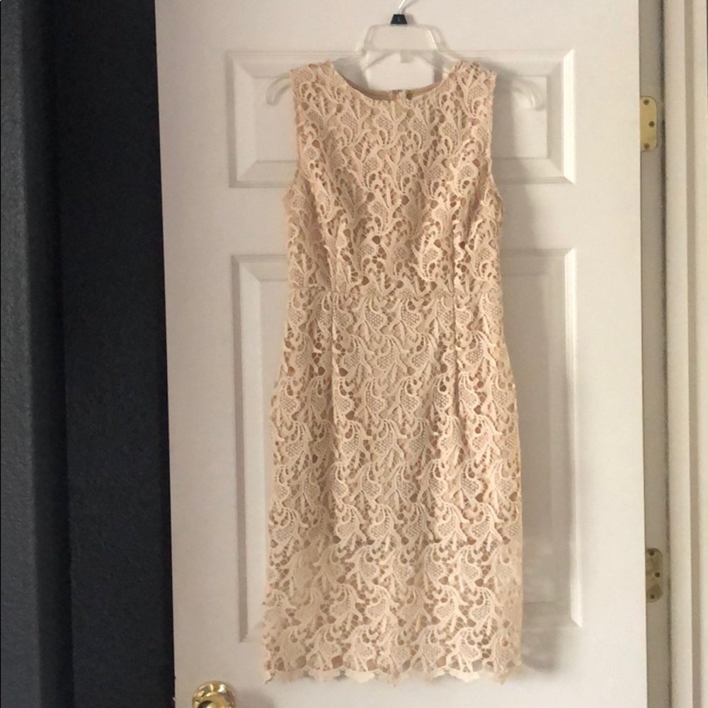 Lace Knit Dress